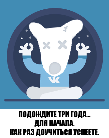 vkontakte-dog